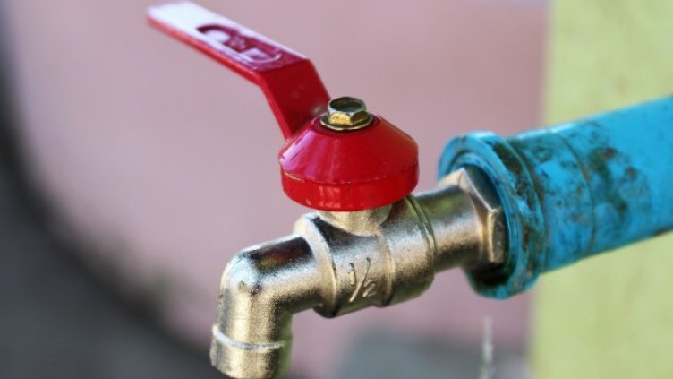 Снимка: Pixabay