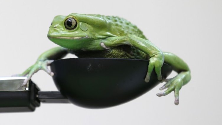 Снимка: архив, Reuters