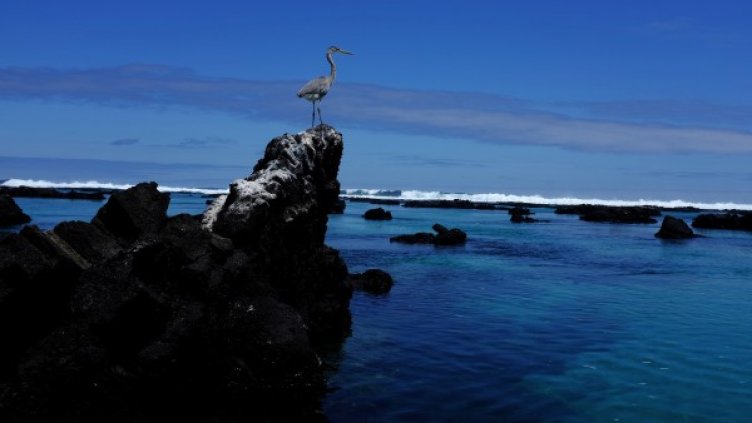 Снимка:  Reuters