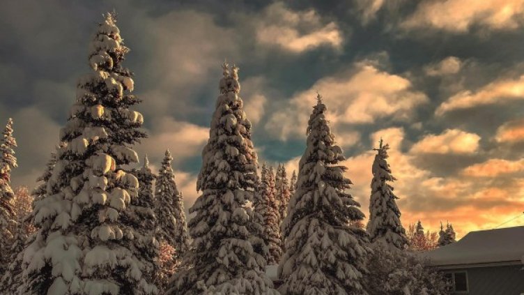 Снимка: Pixabay