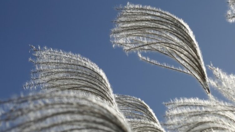 Снимка: Pixabay