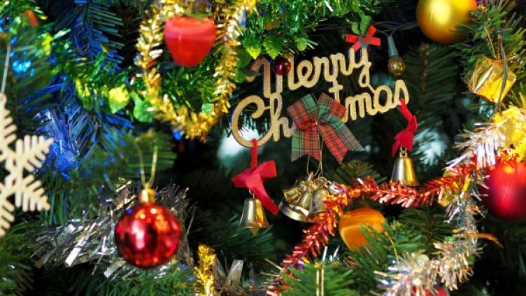 Снимка: Pexels