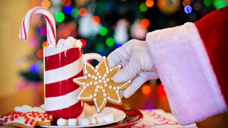 Снимка: Pixabay