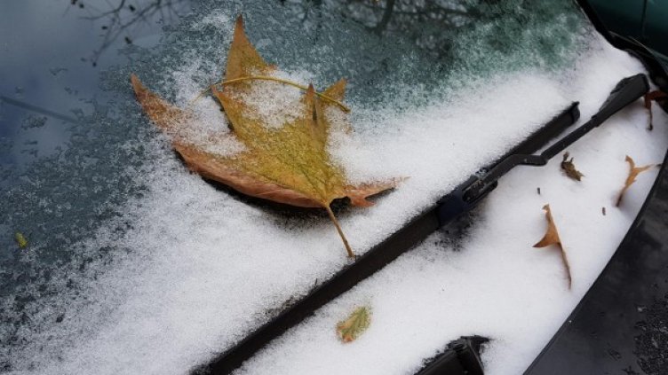 Снимка: архив, БулФото