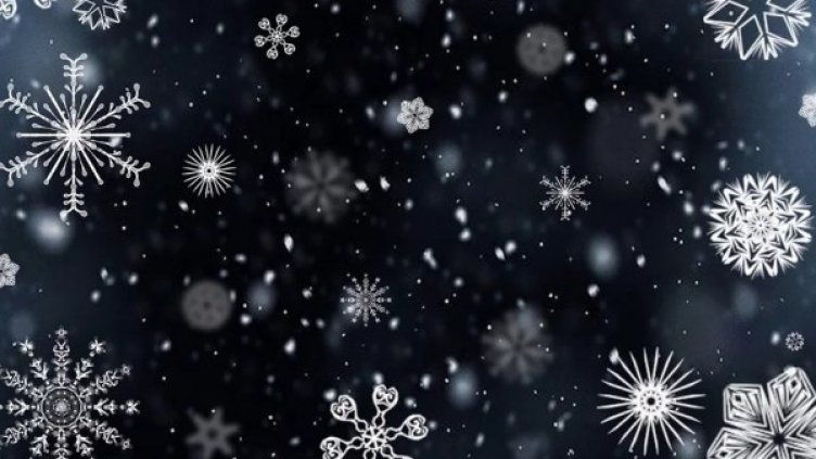 Снимка: Pixabay