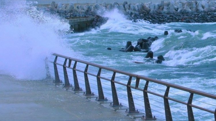 Снимка: Pixabay