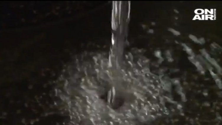 Снимка: Bulgaria ON AIR