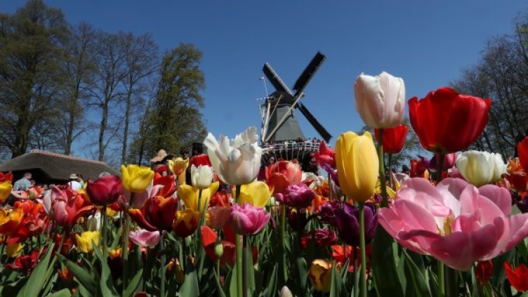 Снимка: архив Reuters