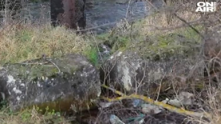 Снимка: Bulgaria ON AIR