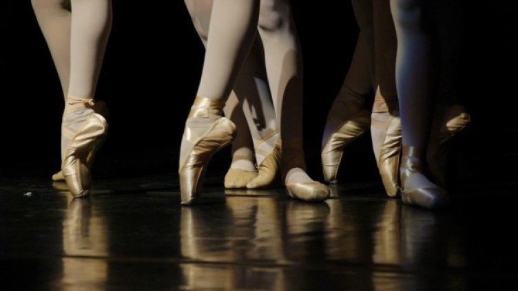 Снимка: Pixabay