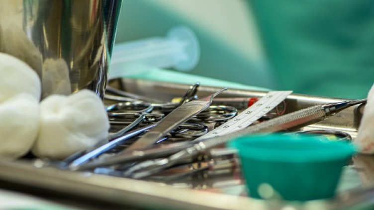 Снимка: Pixabay