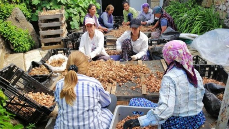 Снимка: Дойче веле /В. Байрамова