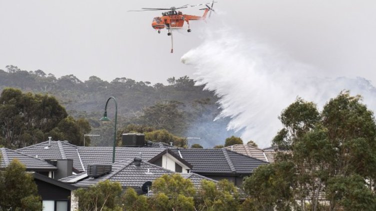 Снимка: Ройтерс