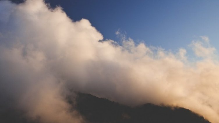 Снимка: Pixabay