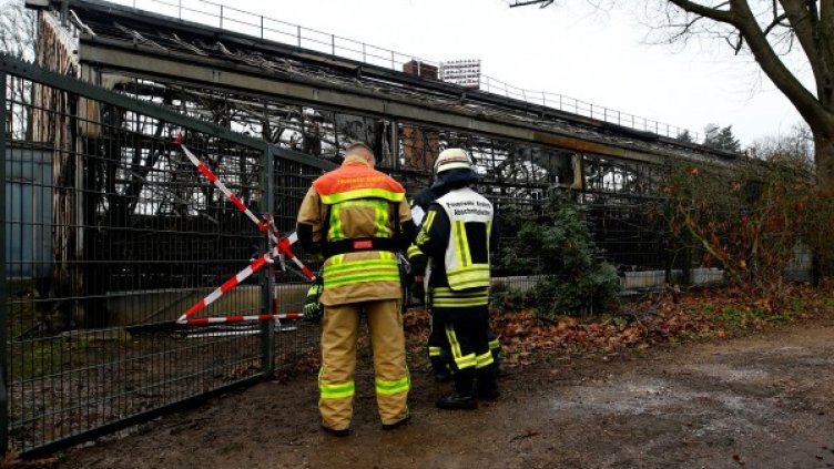 Снимка: Ройтерс