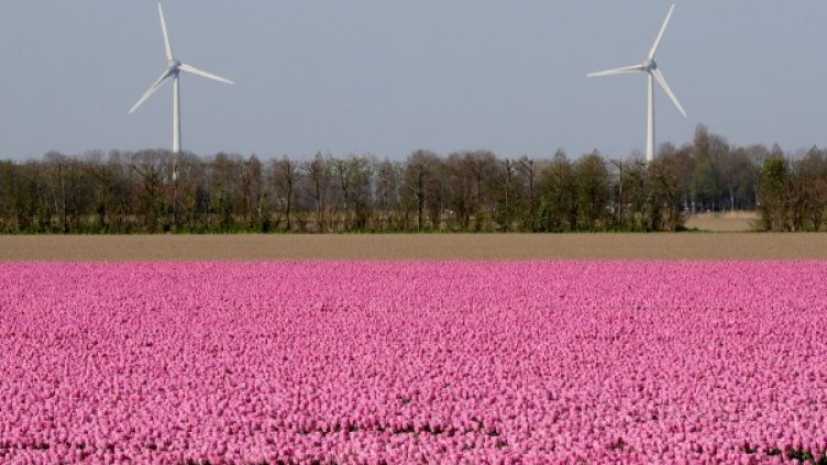 Снимка: архив, Reuters