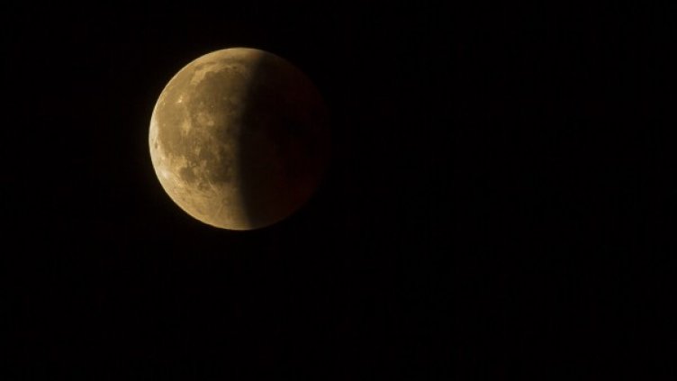 Снимка: Pixabay