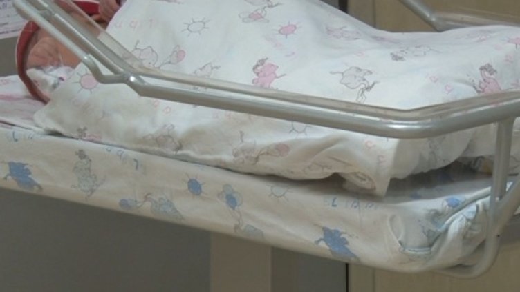 Снимка: БГНЕС, архив