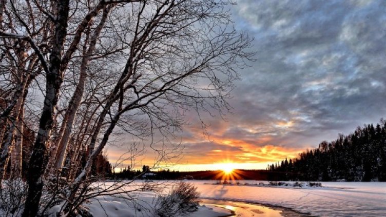 Снимка: Pixabay