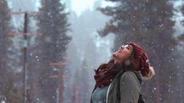 Снимка: Pexels