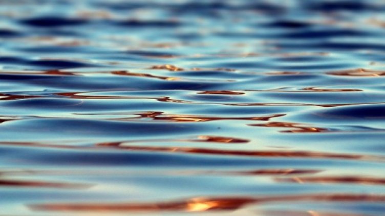 Снимка: Pixabay