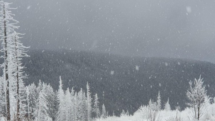 Снимка: архив, Булфото