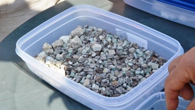 Снимка: Булфото, архив