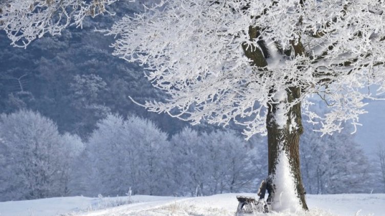 Снимка: Pixabay