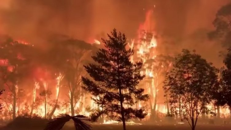 Снимка: Ройтерс