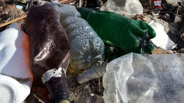 Архив: Булфото