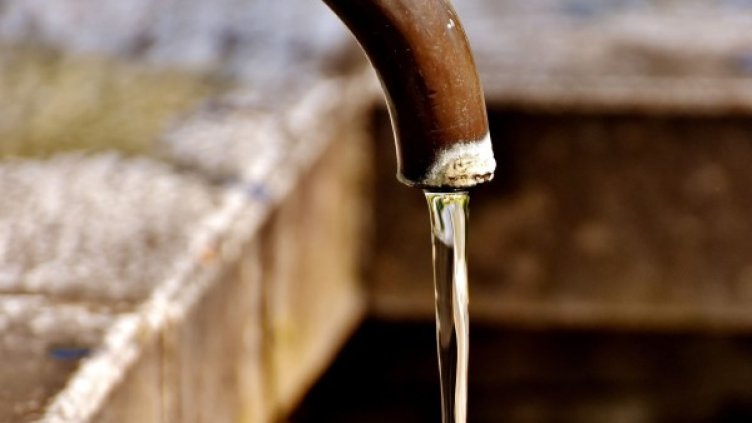 Снимка: Pixabay