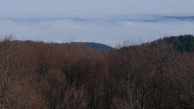 Снимка: архив, БГНЕС