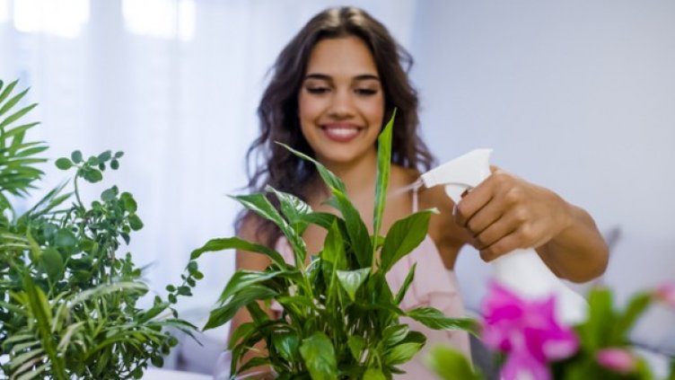 Снимка: istock