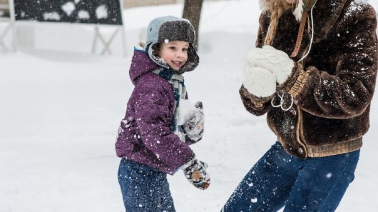 Снимка: Pixabay