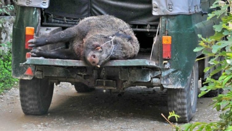 Снимка: Булфото, архив