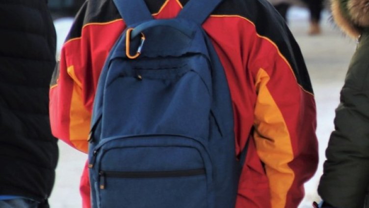 Снимка: Pixabay