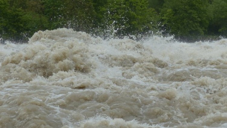 Снимка: Pixabay