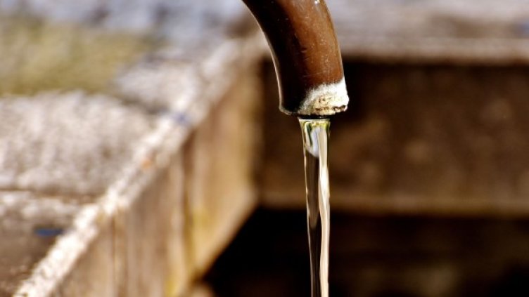 Снимка: Pixabay