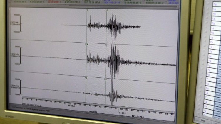 Снимка: архив, БГНЕС