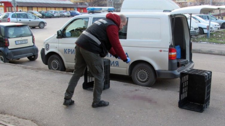 Снимка: Булфото