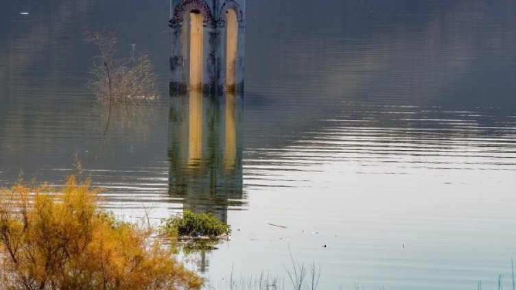 Снимка: Pixabay