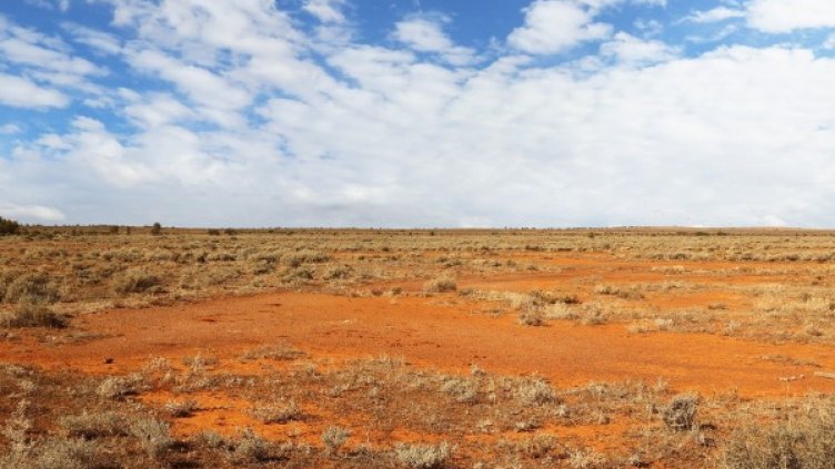 Снимка: Pixabay