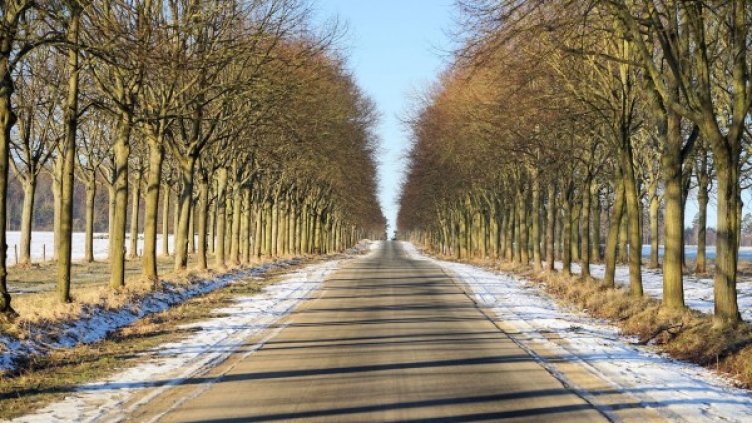 Снимка: Pixabay