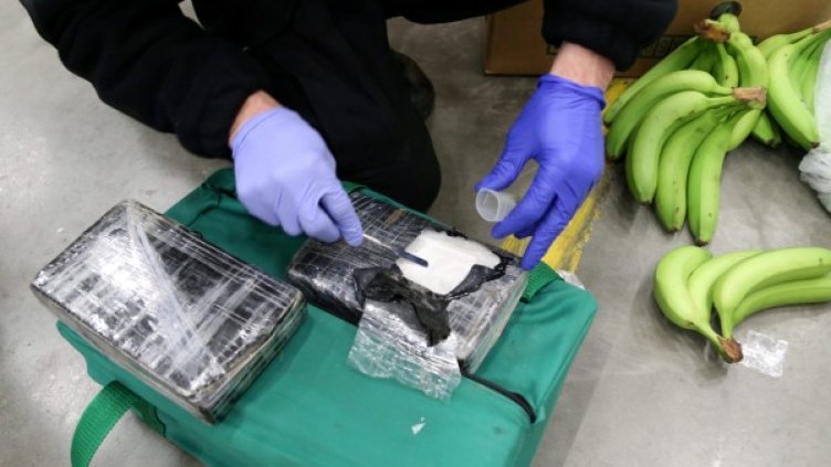 Снимка: архив, БГНЕС