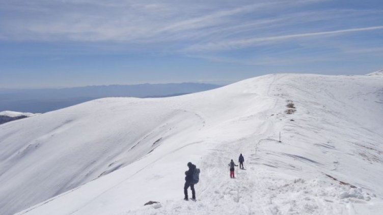 Снимка: Dnes.bg