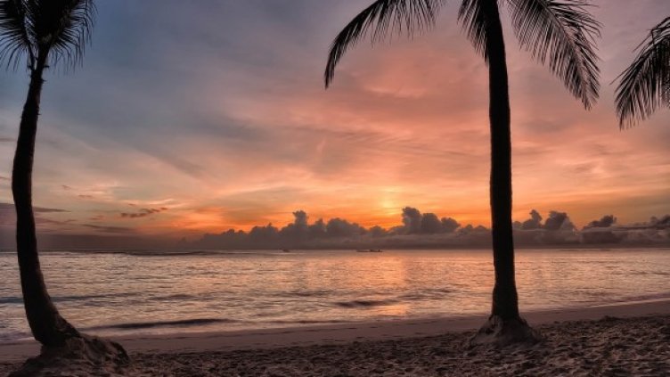 Снимка: Pixabay