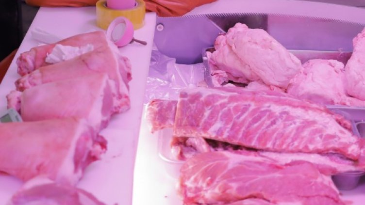 Снимка: архив, БГНЕС