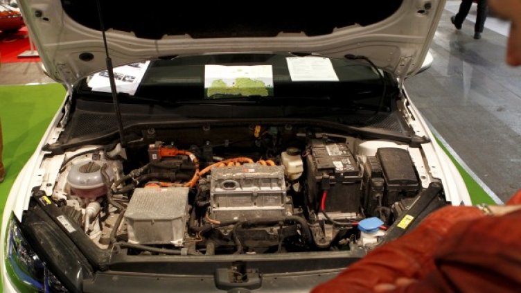 Снимка: архив, БГНЕС