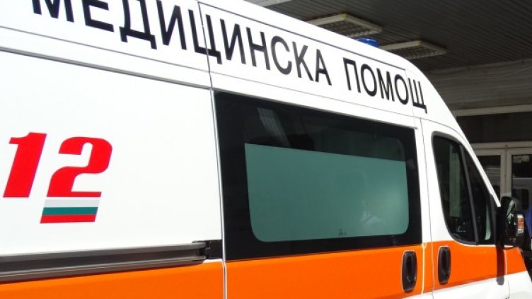 Снимка: архив, БГНЕС