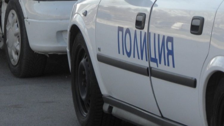 Снимка: архив, БГНЕС